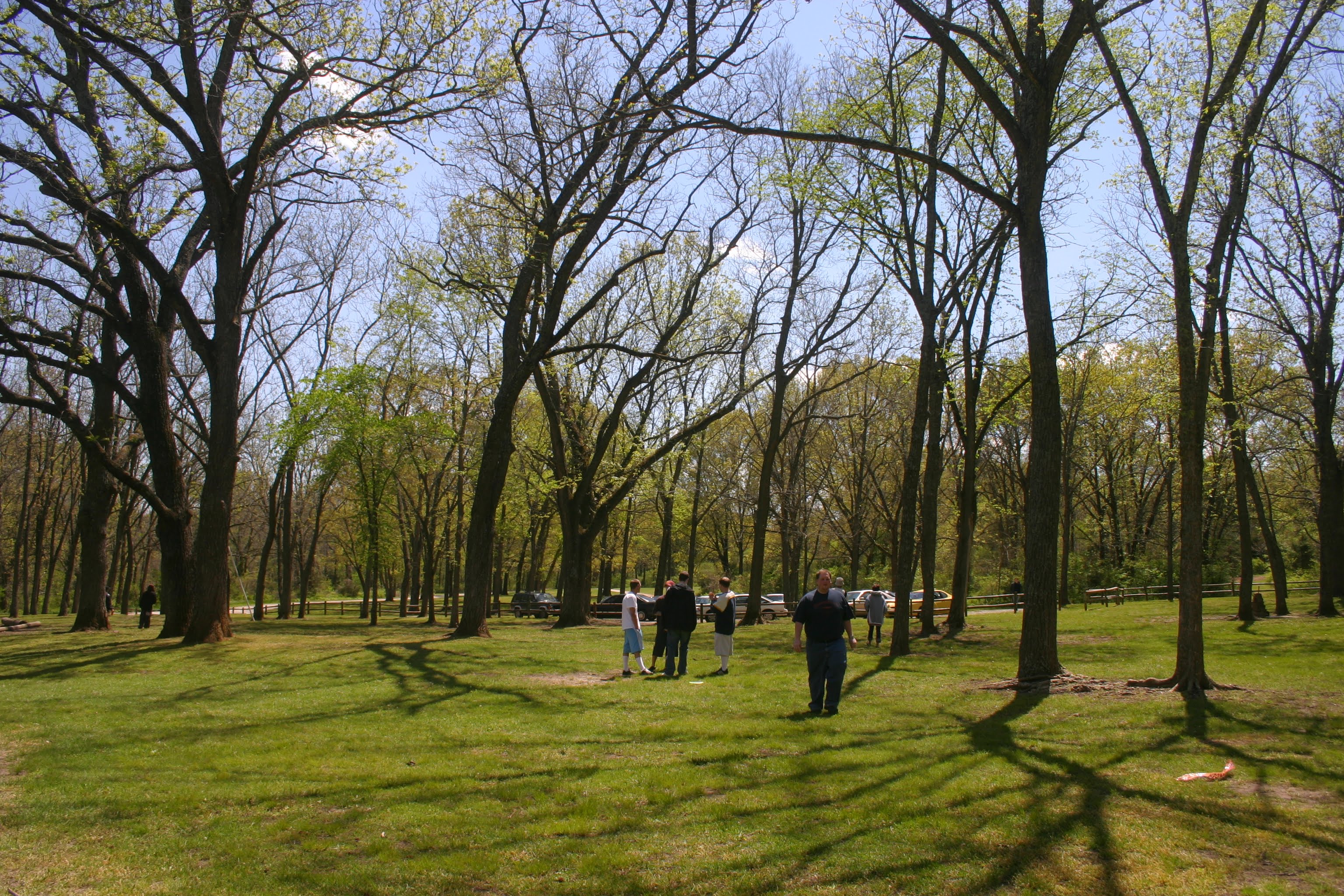 2005-04-30 Awakening @ Ritter Springs Park cover